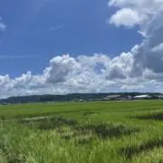 二シポニョーンの画像