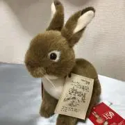 サニーの画像