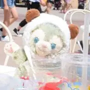 Ruupinの画像