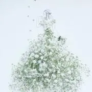 雪の画像