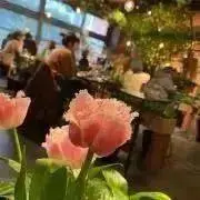 ゆいーもの画像