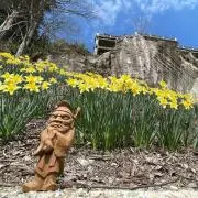 花咲くから