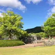breezeの画像