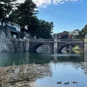 comfyの画像