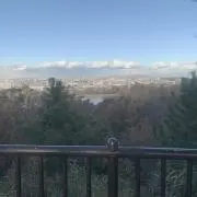 はるの画像