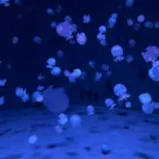 min0riの画像