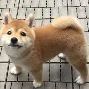 VALMETの画像
