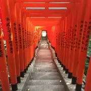 mejapeeen