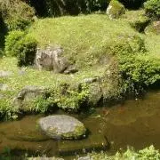 みかんの画像