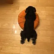 ももりの画像