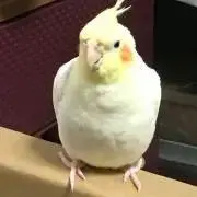 マサタカハシの画像