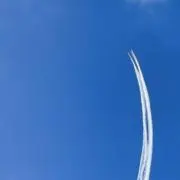 まぁの画像