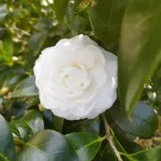 ４児ママ