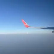 riの画像