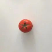 ぴぴ子の画像