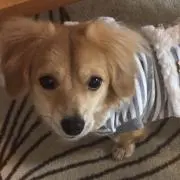Mika❤︎の画像