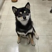 うにの画像
