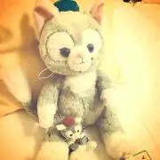 リン＊プロフに注意事項の画像