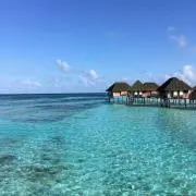 まっちゃの画像