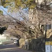 khyonの画像