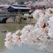 Mの画像