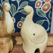 Sahasiの画像