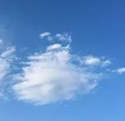 コーヒーの画像