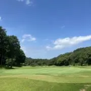 こんちゃんの画像