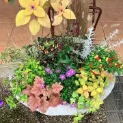 charの画像