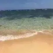 楓〜即購入OK❣️値下げ不可〜の画像