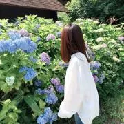 ぽん ＊まとめ買い大歓迎＊の画像