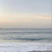 picoの画像