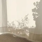 りの画像