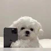 売り切りたい！！の画像