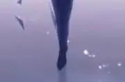夕陽の画像