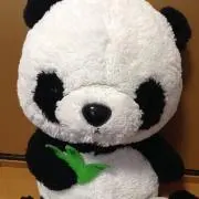 ぱんちゃんの画像