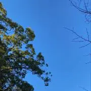 ☺︎プロフィール必読の画像