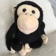 Uの画像