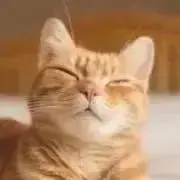 Mの画像