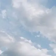 Fの画像