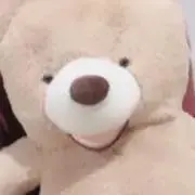 おすしの画像