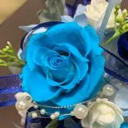 ちーくま