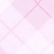 おにぎりの画像