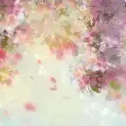 華奈の画像