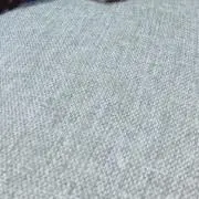 ルナの画像