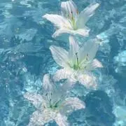 ㅇㅅㅇの画像