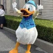 shelekanの画像