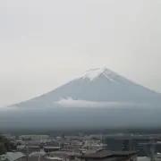 ハム