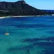carolinaの画像