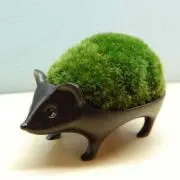 ちま